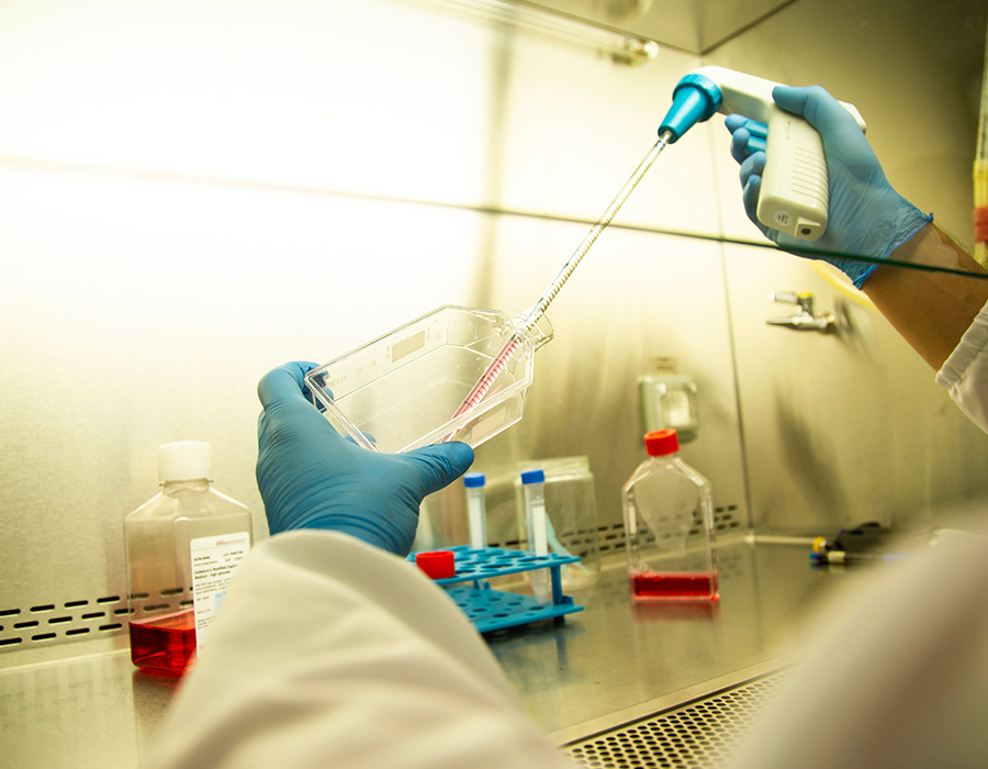Biotecnologia e farmaceutica