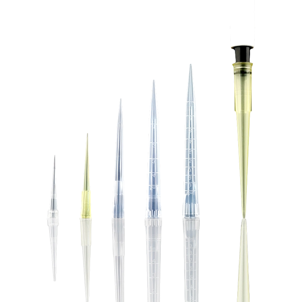 Qiujing Puntali per pipette da laboratorio trasparenti a basso noleggio, insaccati senza fonte di calore Qiujing Puntali per pipette da laboratorio trasparenti a basso noleggio, insaccati senza fonte di calore