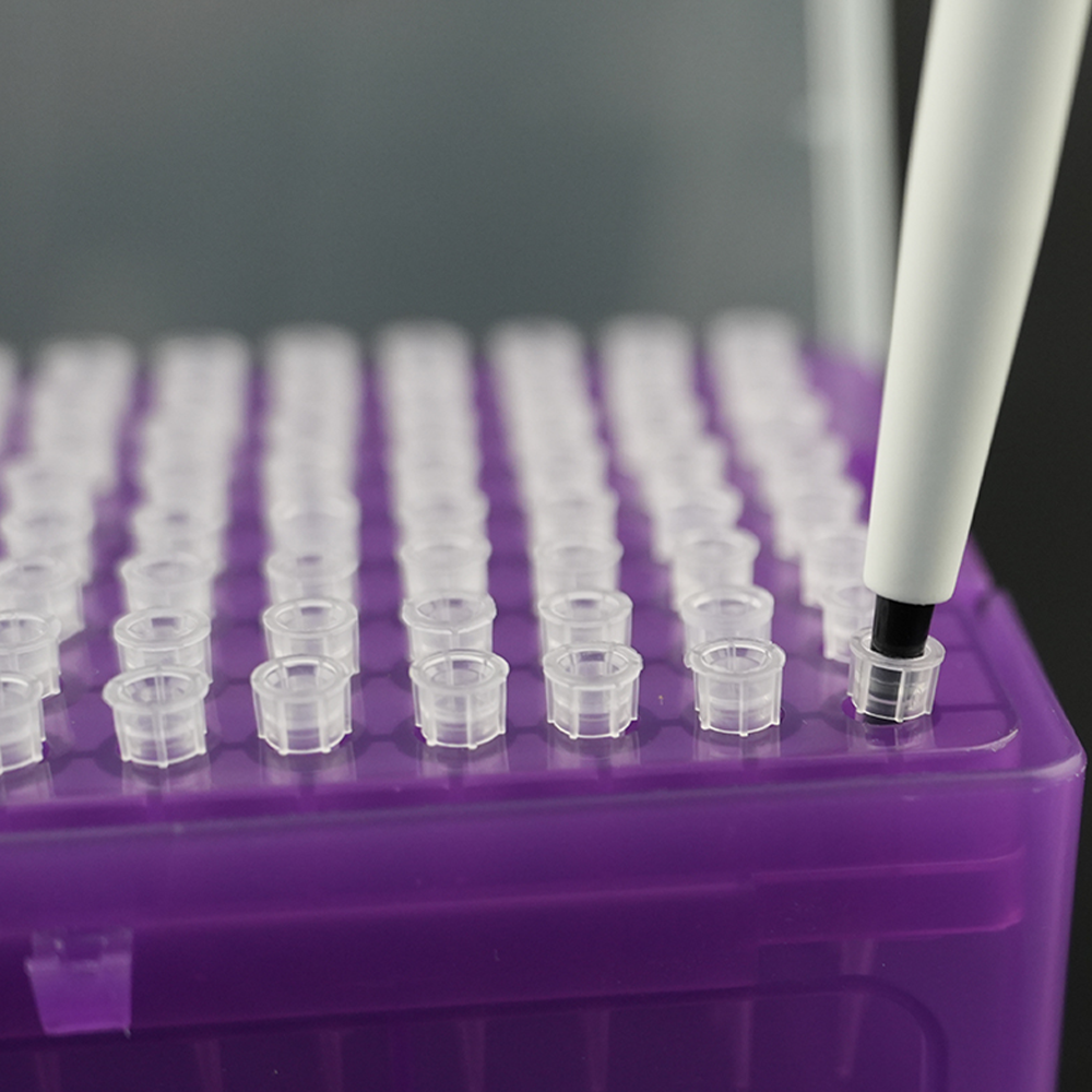 Qiujing Puntali per pipette da laboratorio trasparenti a basso noleggio, insaccati senza fonte di calore Qiujing Puntali per pipette da laboratorio trasparenti a basso noleggio, insaccati senza fonte di calore